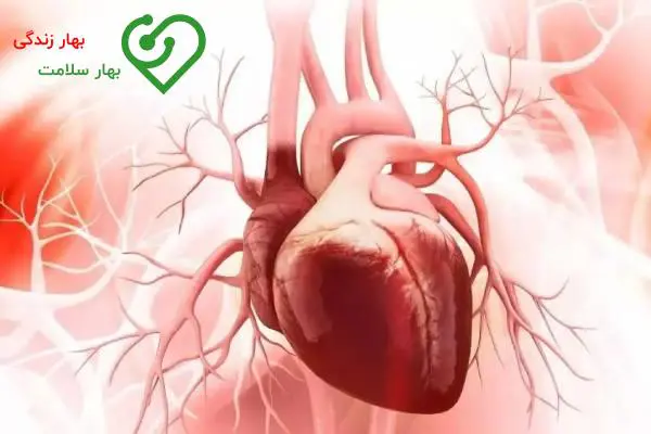 علت بزرگ شدن قلب چیست؟ علت بزرگ شدن قلب چیست؟