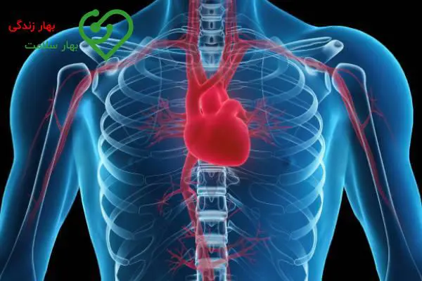 آیا بزرگ شدن قلب خطرناک است؟ آیا بزرگ شدن قلب خطرناک است؟