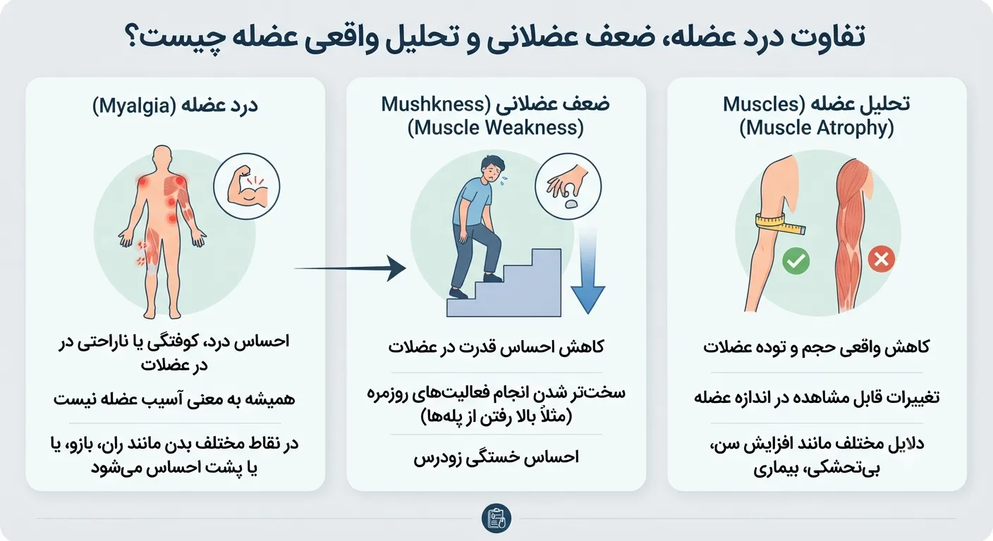 تفاوت درد عضله, ضعف عضله و تحلیل واقعی تفاوت درد عضله, ضعف عضله و تحلیل واقعی