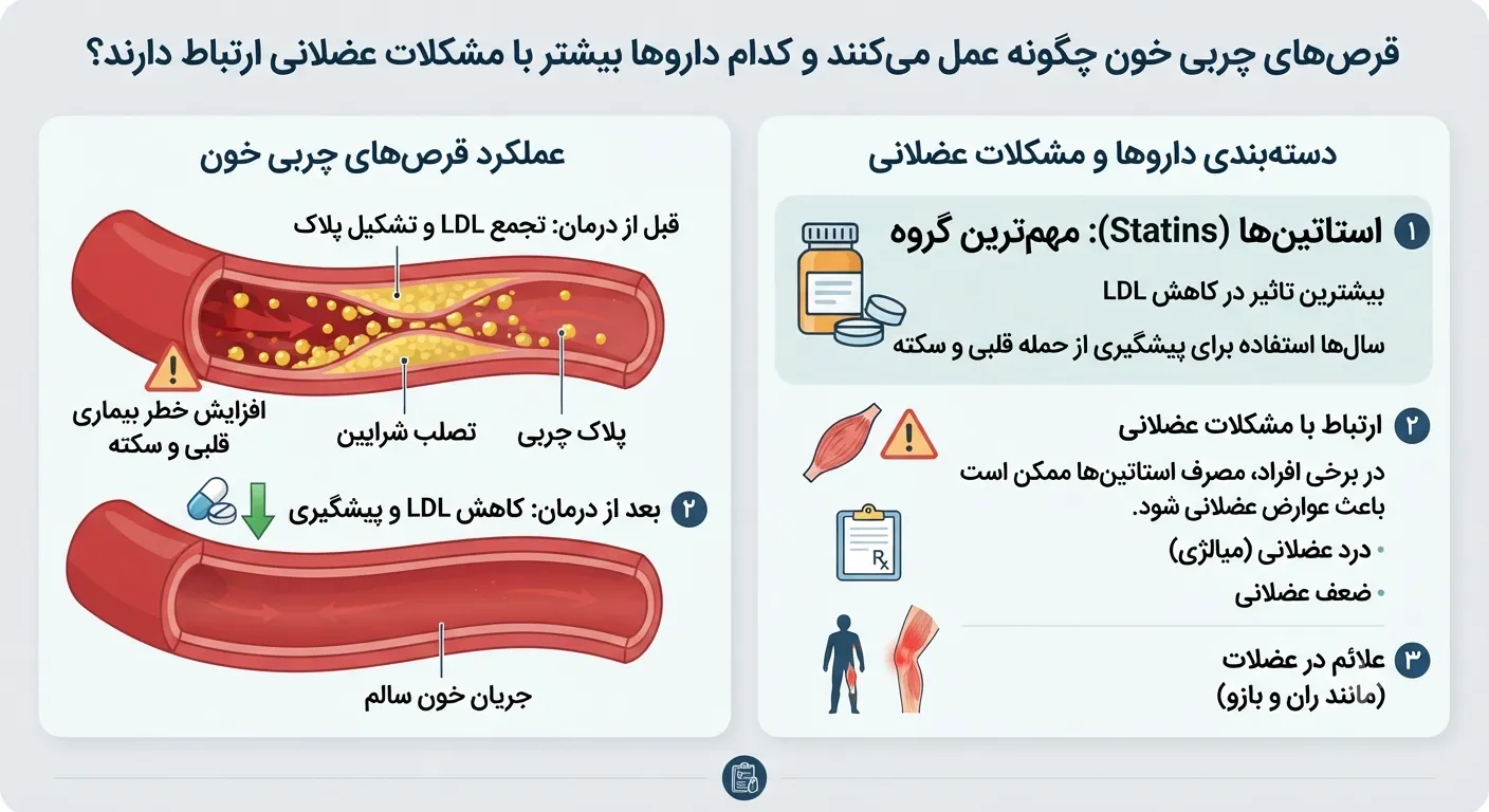 قرص های چربی خون چگونه عمل میکنند؟ قرص های چربی خون چگونه عمل میکنند؟